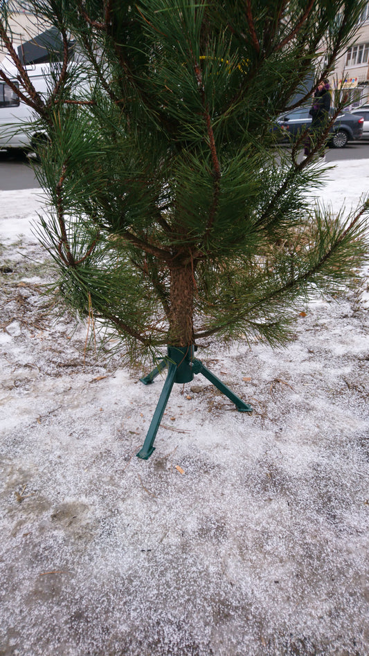 Supports pour sapins de Noël